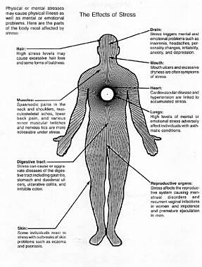 stress effects